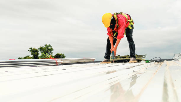 Best Storm Damage Roof Repair  in Mahnomen, MN